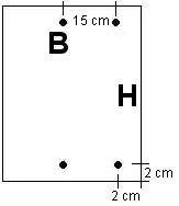 back pad 96 bass IT Nr. 5