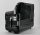 Hohner Morino Artiste XI S